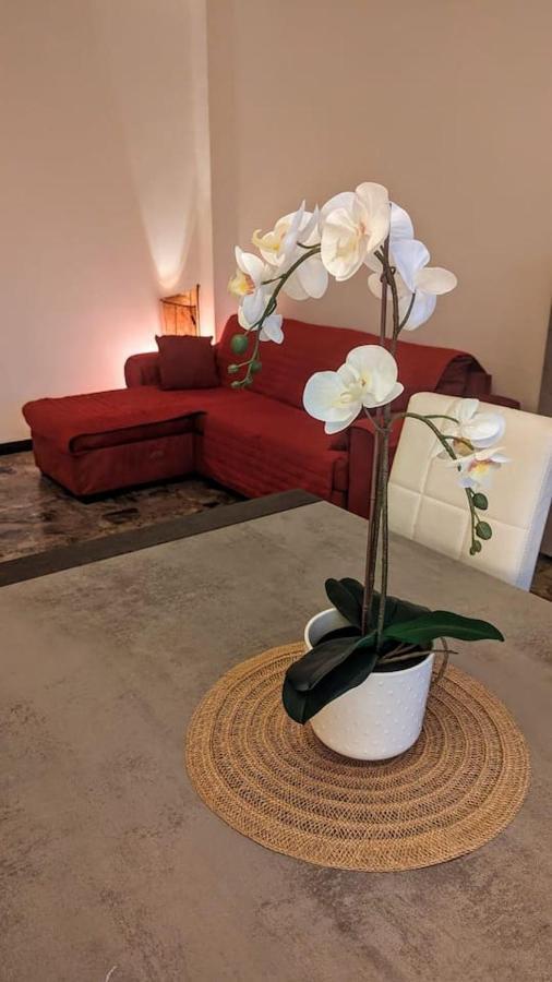 La Terrazza Del Re Apartment แวร์เชลลี ภายนอก รูปภาพ